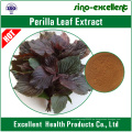 natürlicher Perilla Leaf Extract
